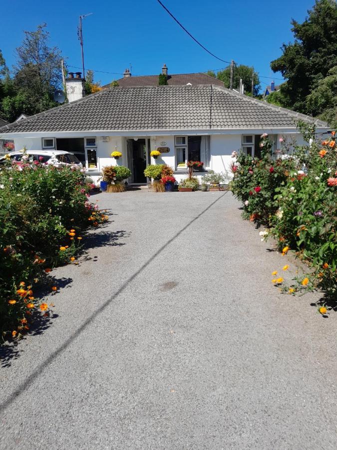 Saint Martin'S Bed And Breakfast Bandon Exterior photo