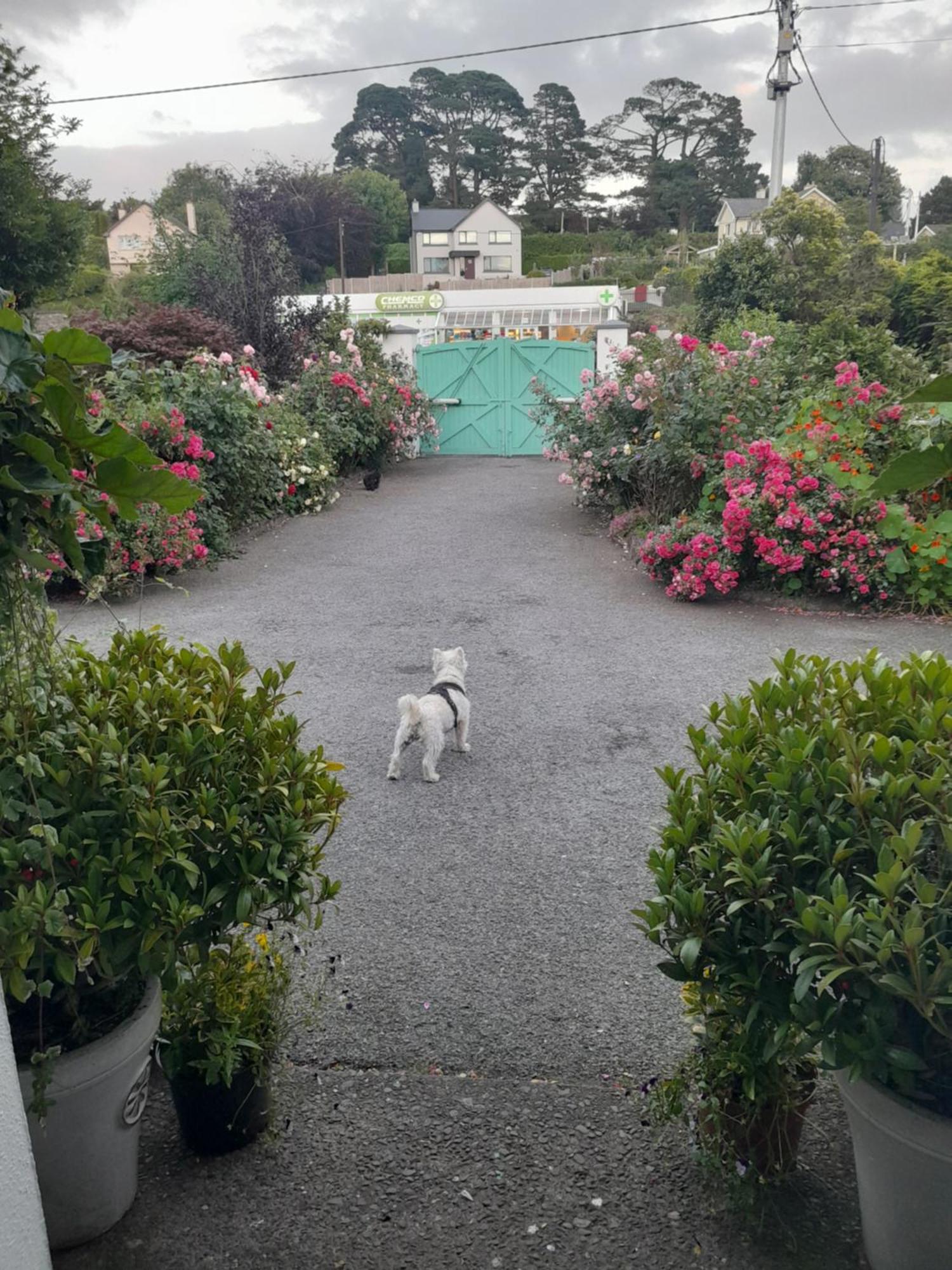 Saint Martin'S Bed And Breakfast Bandon Exterior photo